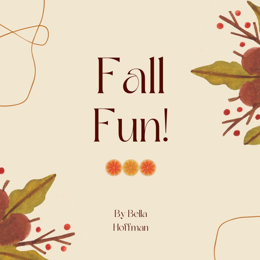 Fall Fun!