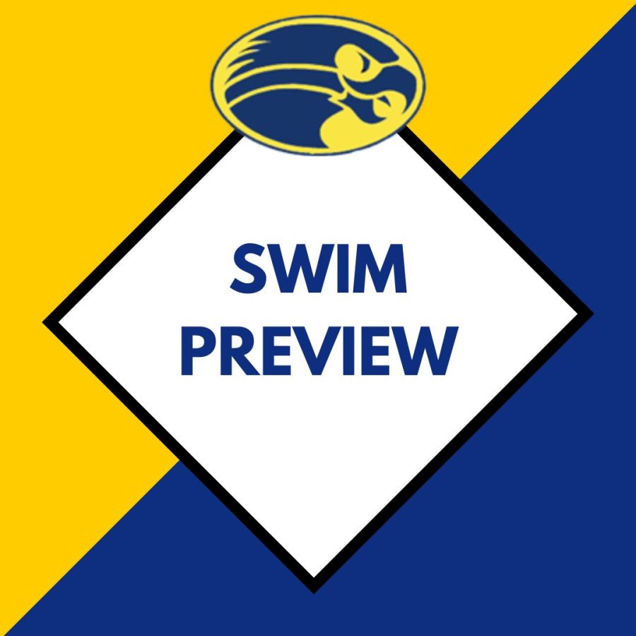 Swimmers Take a Dive Into the New Season