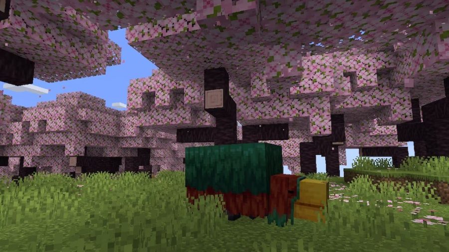 (Image from the official Minecraft.net website)
https://www.minecraft.net/en-us/article/cherry-blossom-biome-coming-minecraft-120