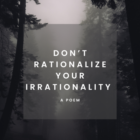 Don’t Rationalize Your Irrationality 