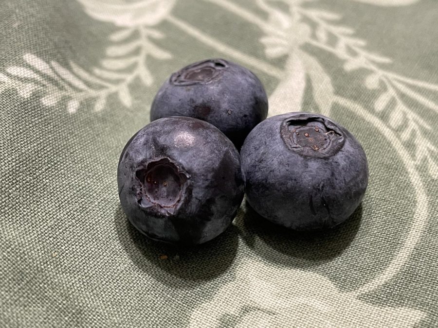 Blueberries, by Sam Verdi