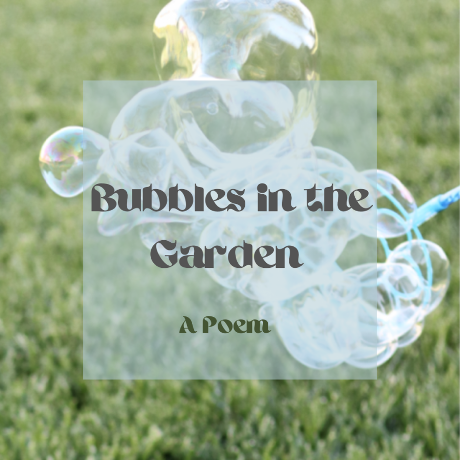 Bubbles in the Garden