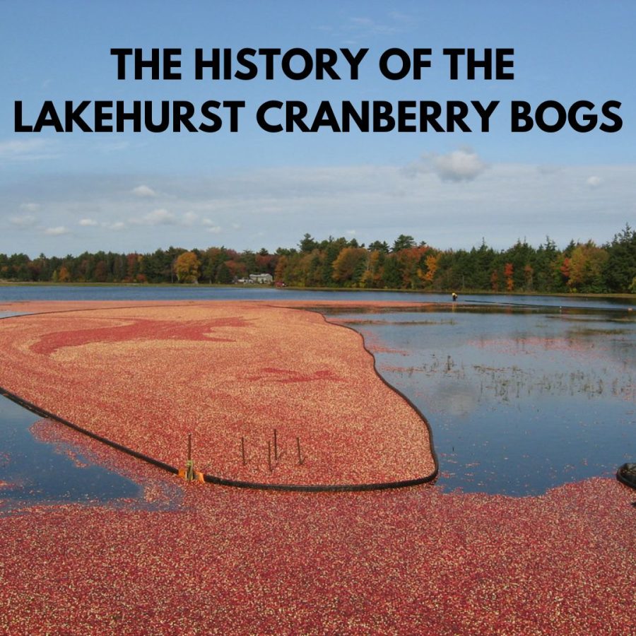 The History of The Lakehurst Cranberry Bogs