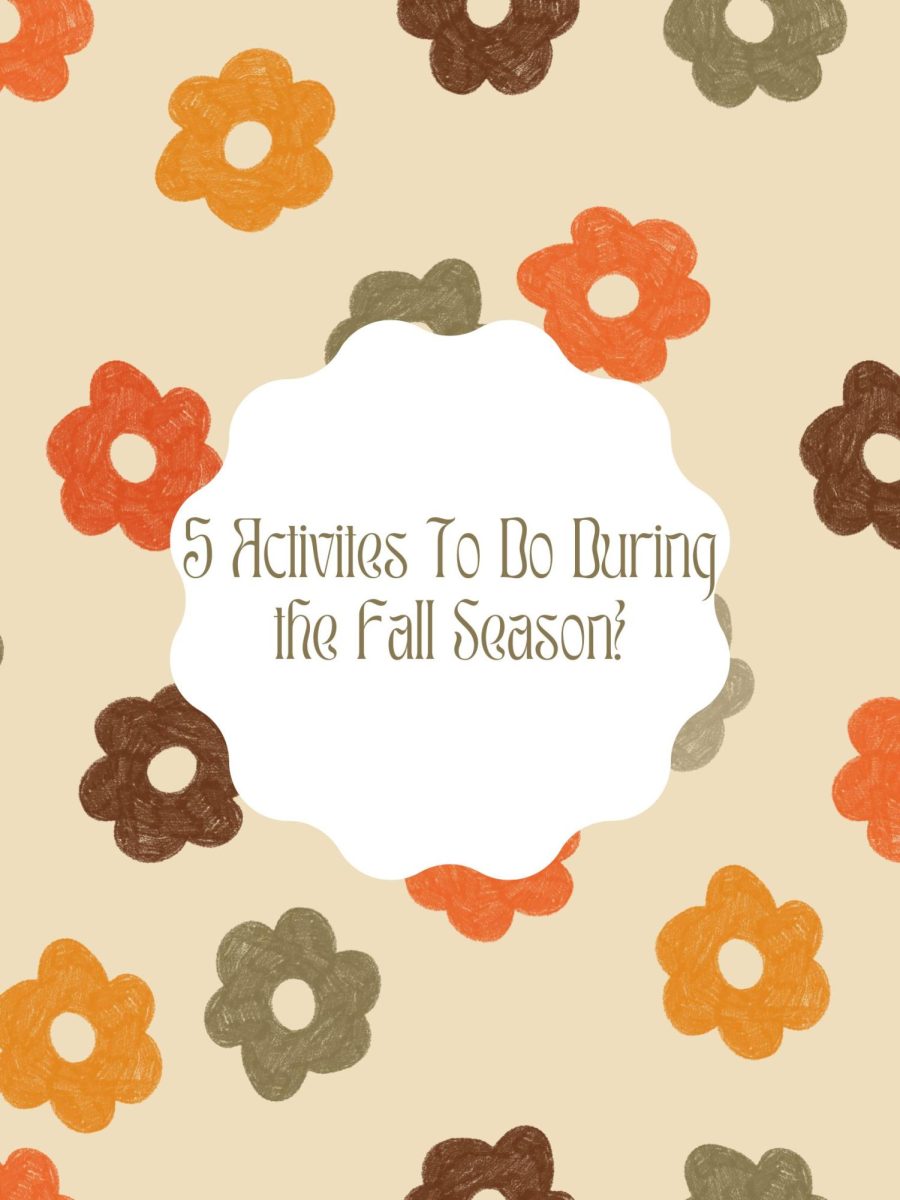5 Actitvites To Do During The Fall Season