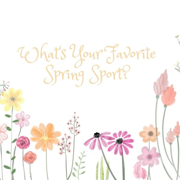 Whats Your Favorite Spring Sport?