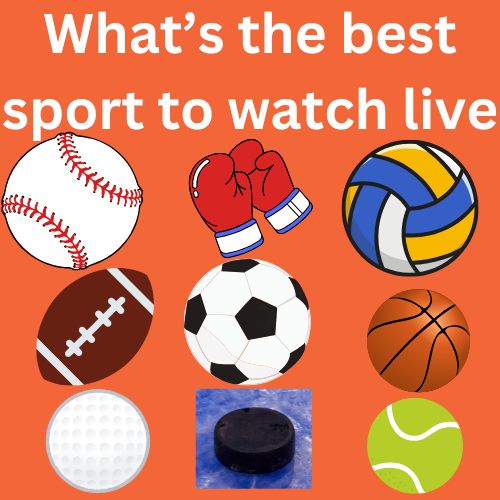 Image created in canva on 3-11-2025 By 

