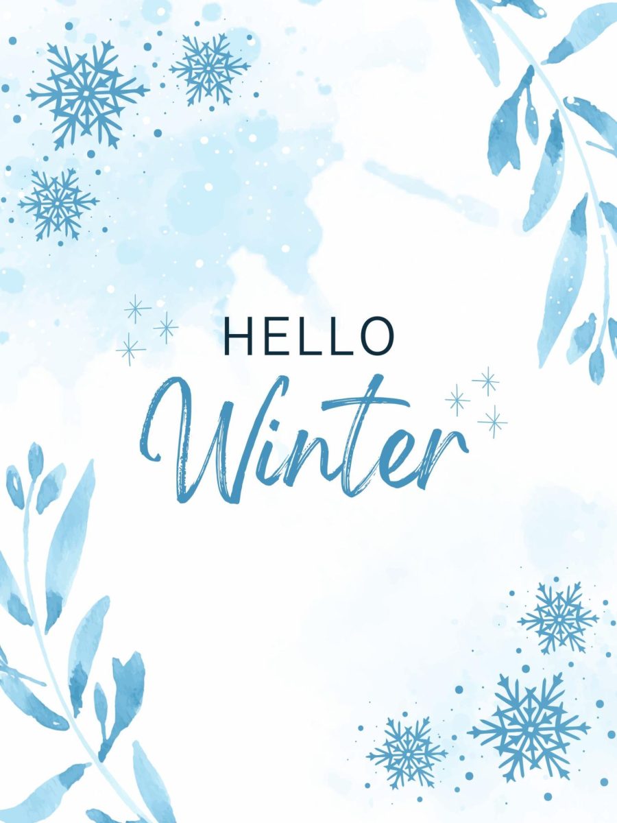 What is Your Favorite Outdoor Snow Activity?