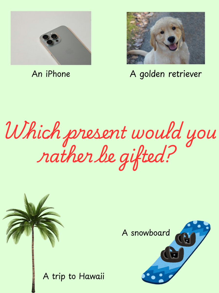 Which present would you rather be gifted?