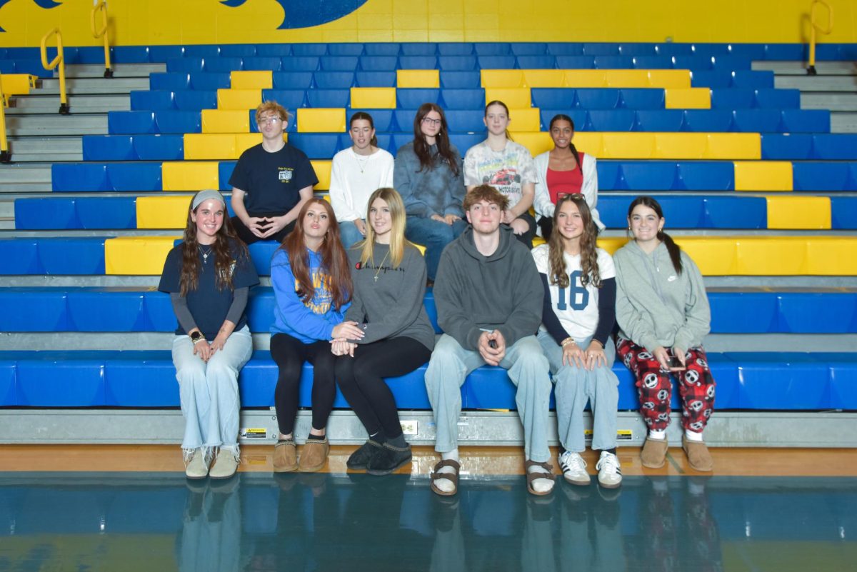 Advanced Communications and Journalism, Levels 2-3 