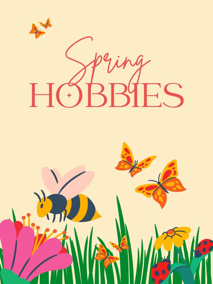Image created by Isabella Raimondi in canva.